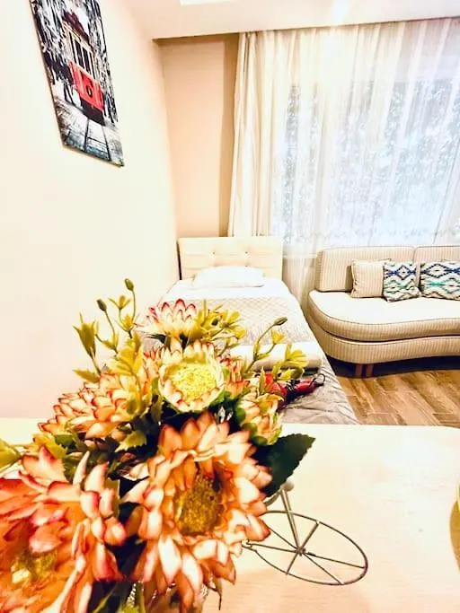 Apartment Arya Studio Flat In Cihangir 13 Istanbul Turkey