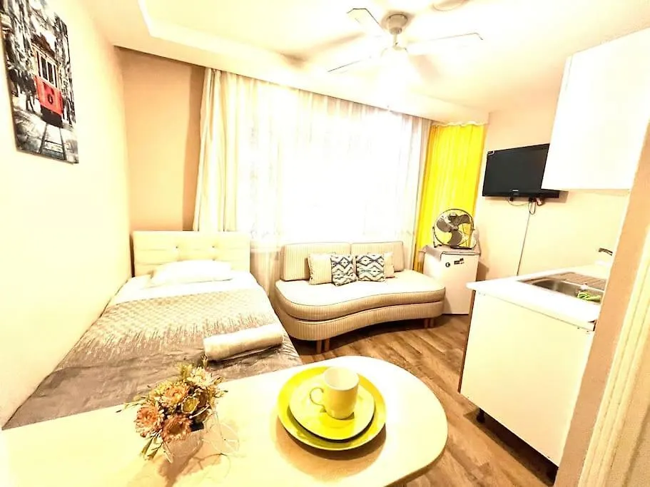 Arya Studio Flat In Cihangir 13 Estambul